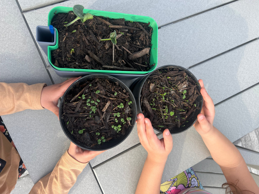 Help Build Fine Motor Skills with Gardening!